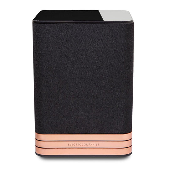 TANA L-1 Add-on speaker